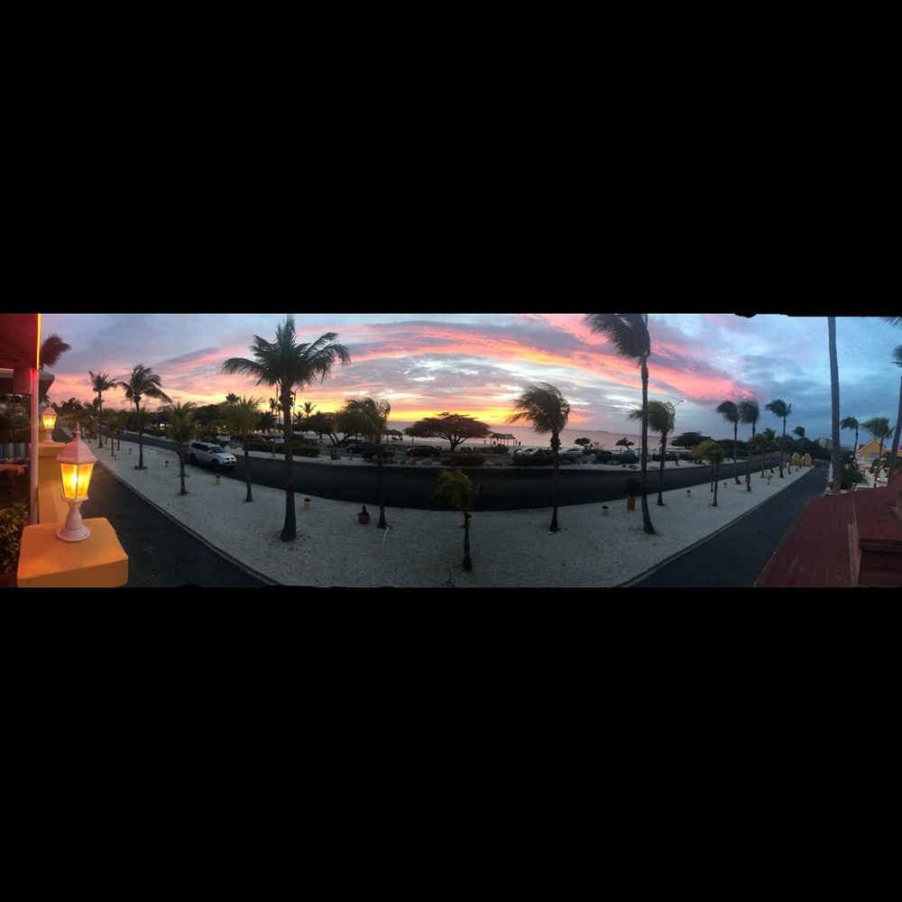 Meet your Posher, Jane